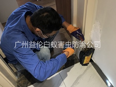 桥南住宅白蚁防治工程