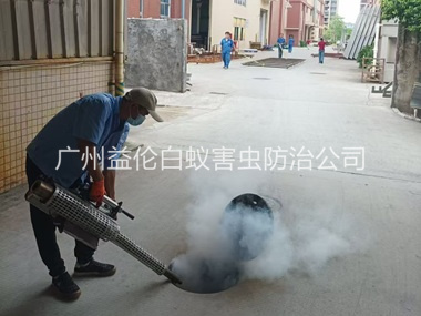 东环街道消灭蚊虫工程