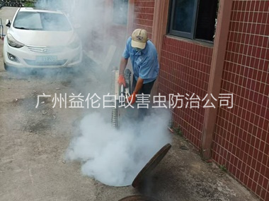 新造环境蟑螂消杀工程