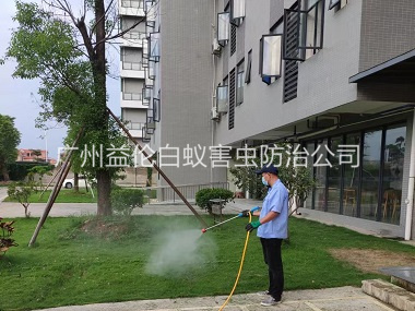 洛浦小区杀灭蚊蝇工程