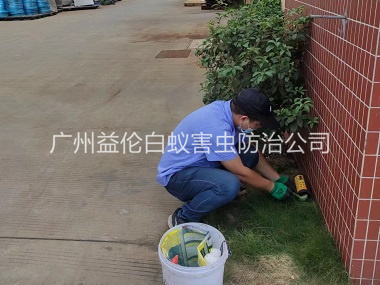 东环布放灭鼠屋工程
