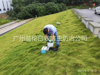 钟村水利堤坝鼠害防控工程