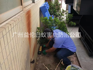 南村投放灭鼠装置工程