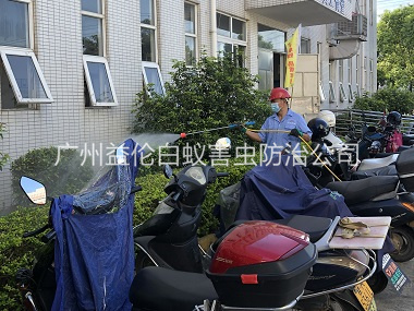 石楼厂区杀虫灭蚊工程