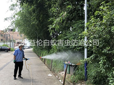 化龙登革热防控消杀工程